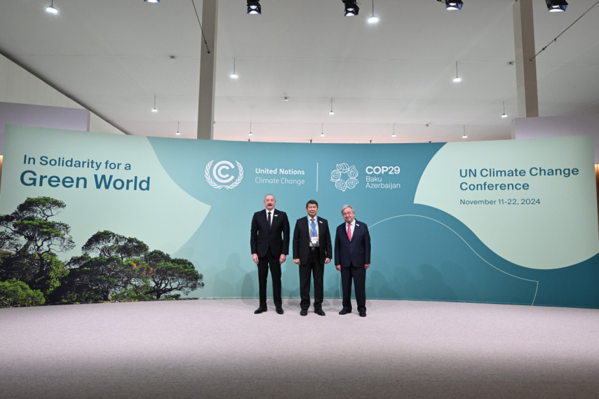 COP29-un