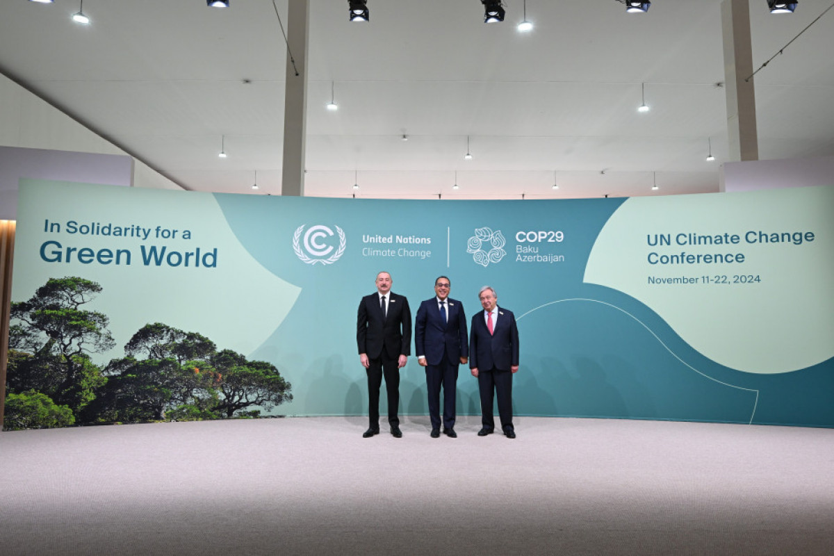 COP29-un