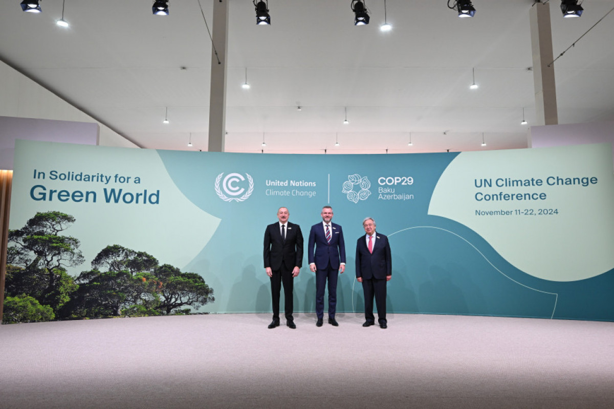 COP29-un