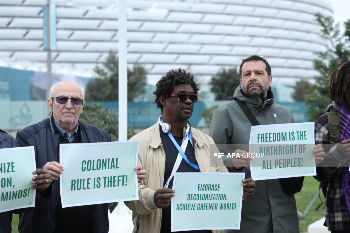 COP29-da