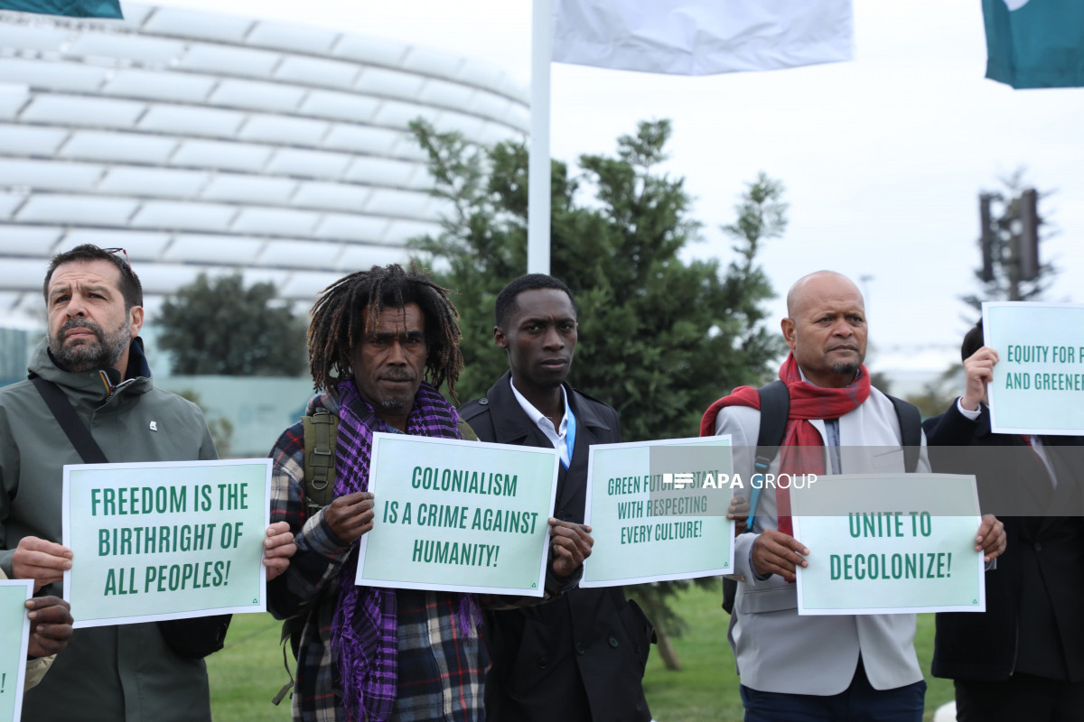 COP29-da