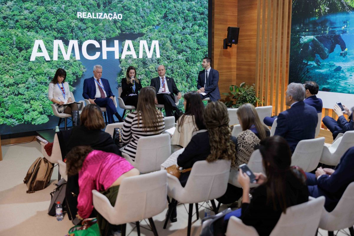 COP29-un Yaşıl Zonasında korporativ dayanıqlılıq mövzusunda panel sessiyası baş tutub