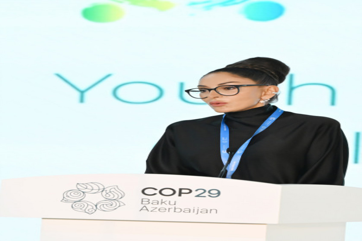 COP29-da