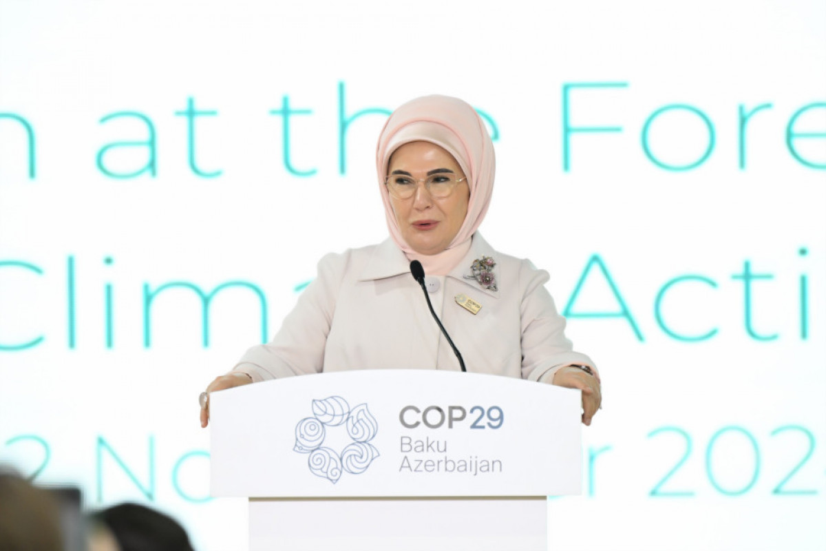 COP29-da