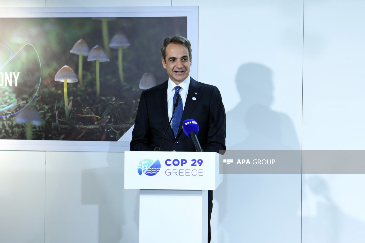 COP29-da