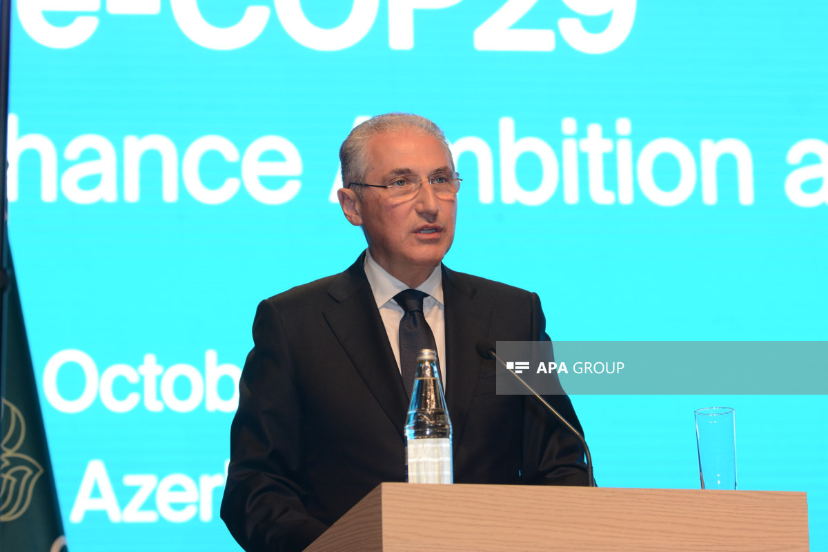 COP29-un Prezidenti: Ada dövlətlərinə dəstək göstərmək hamımızın mənəvi borcudur