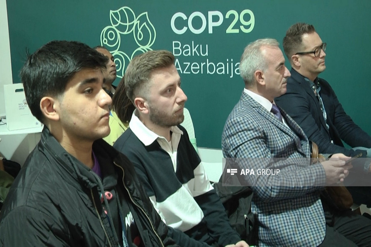 COP29-da