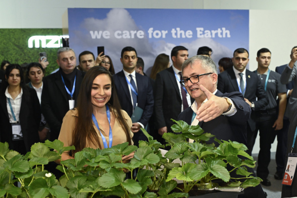 COP29 çərçivəsində Heydər Əliyev Fondunun “Azərbaycan. Təbiətin sehrində” nəşri təqdim edilib VİDEO