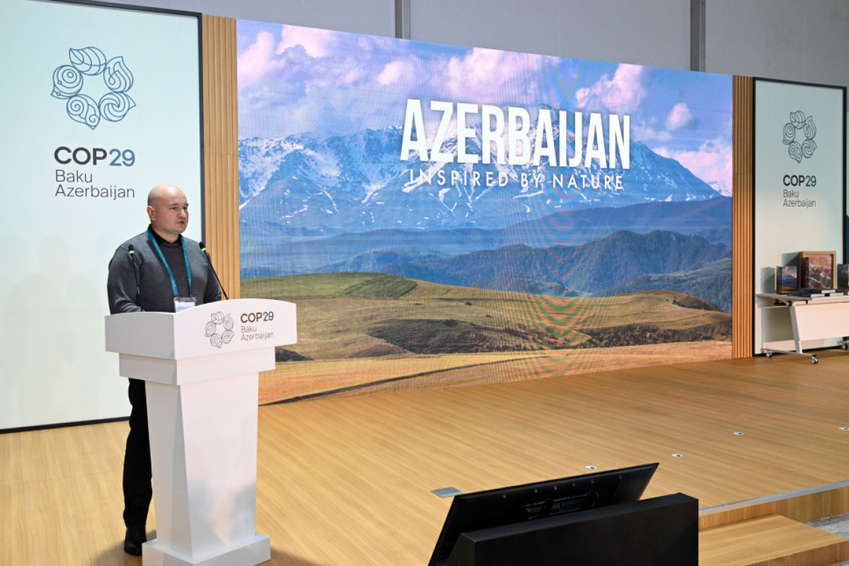 COP29 çərçivəsində Heydər Əliyev Fondunun “Azərbaycan. Təbiətin sehrində” nəşri təqdim edilib VİDEO