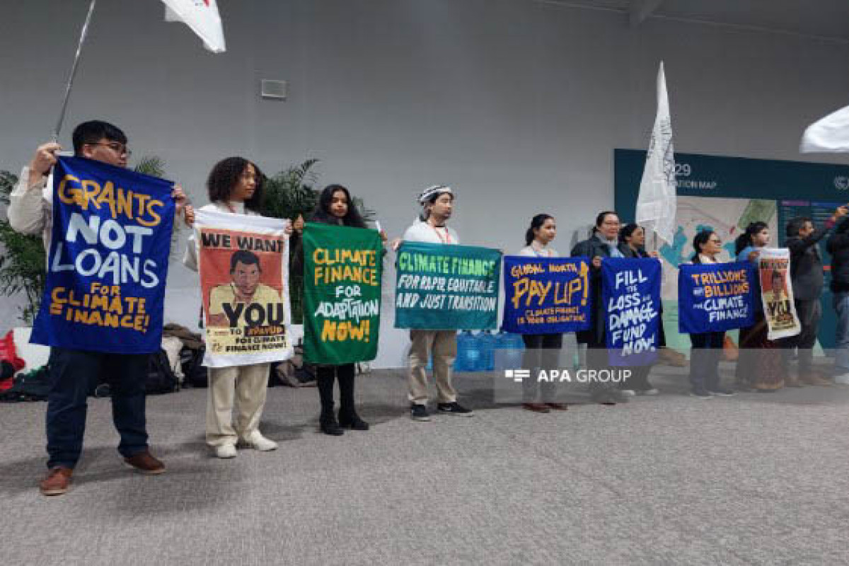 COP29-də aktivistlər iqlim maliyyəsinin ədalətli formalaşdırılması tələbi ilə aksiya keçirib  - FOTO 