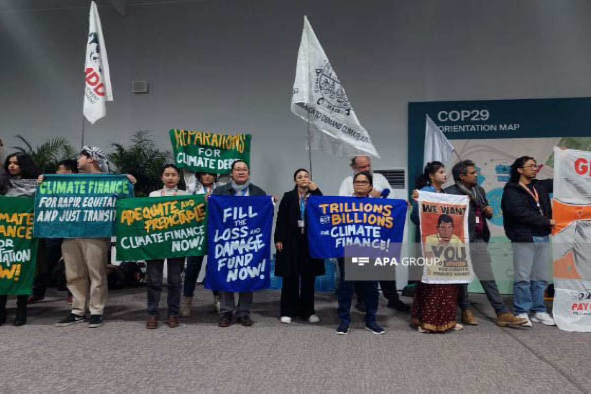 COP29-də aktivistlər iqlim maliyyəsinin formalaşdırılması tələbi ilə aksiya keçirib