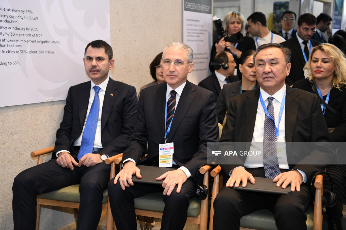 COP29 çərçivəsində TDT nazirlər səviyyəsində ətraf mühit və dayanıqlı inkişaf sahəsində birgə mövqe, ortaq fəaliyyət planına imza atdı