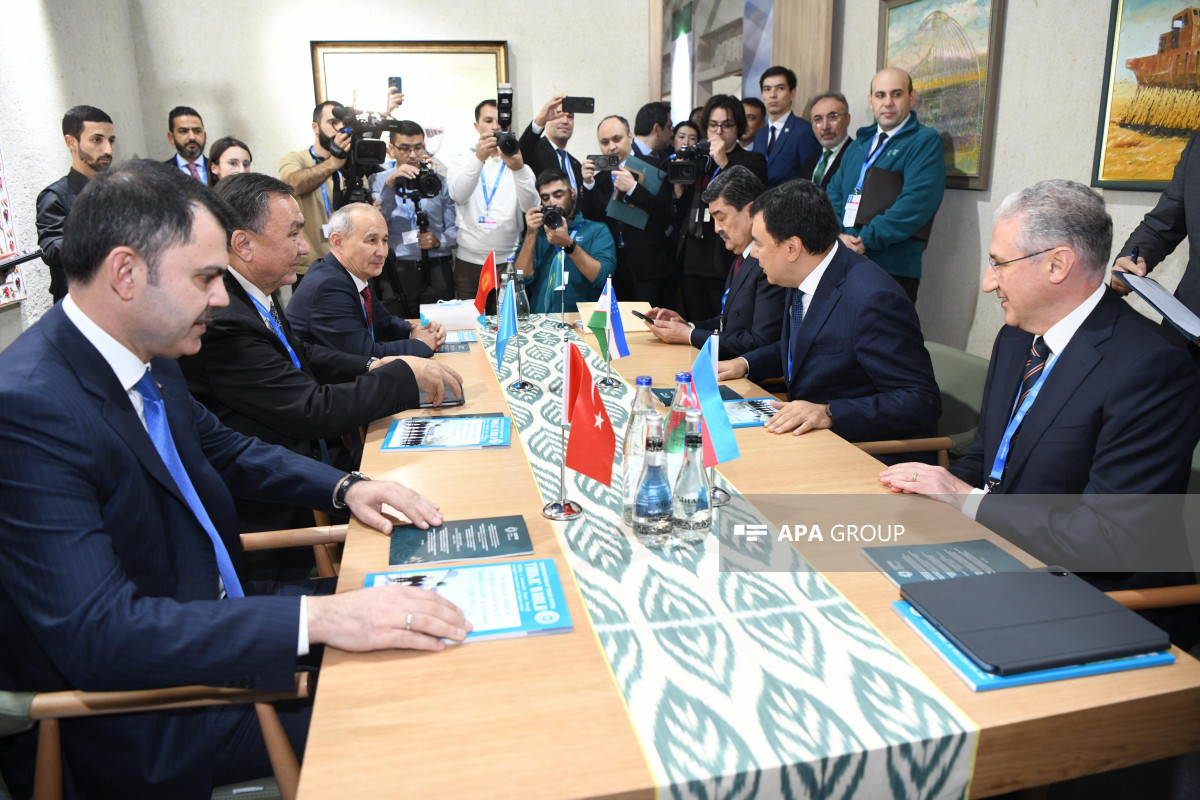 COP29 çərçivəsində TDT nazirlər səviyyəsində ətraf mühit və dayanıqlı inkişaf sahəsində birgə mövqe, ortaq fəaliyyət planı imzalanıb