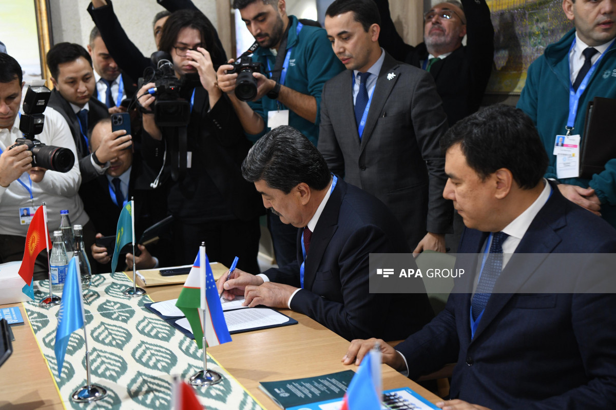 COP29 çərçivəsində TDT nazirlər səviyyəsində ətraf mühit və dayanıqlı inkişaf sahəsində birgə mövqe, ortaq fəaliyyət planı imzalanıb