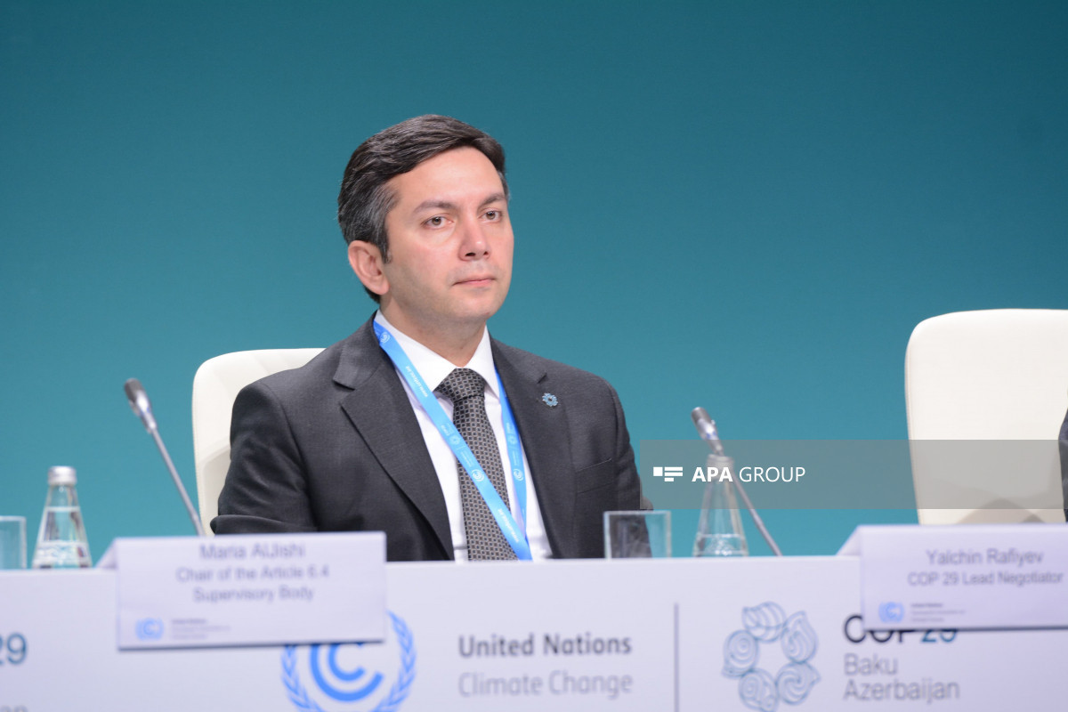 COP29-un baş danışıqçısı Yalçın Rəfiyev