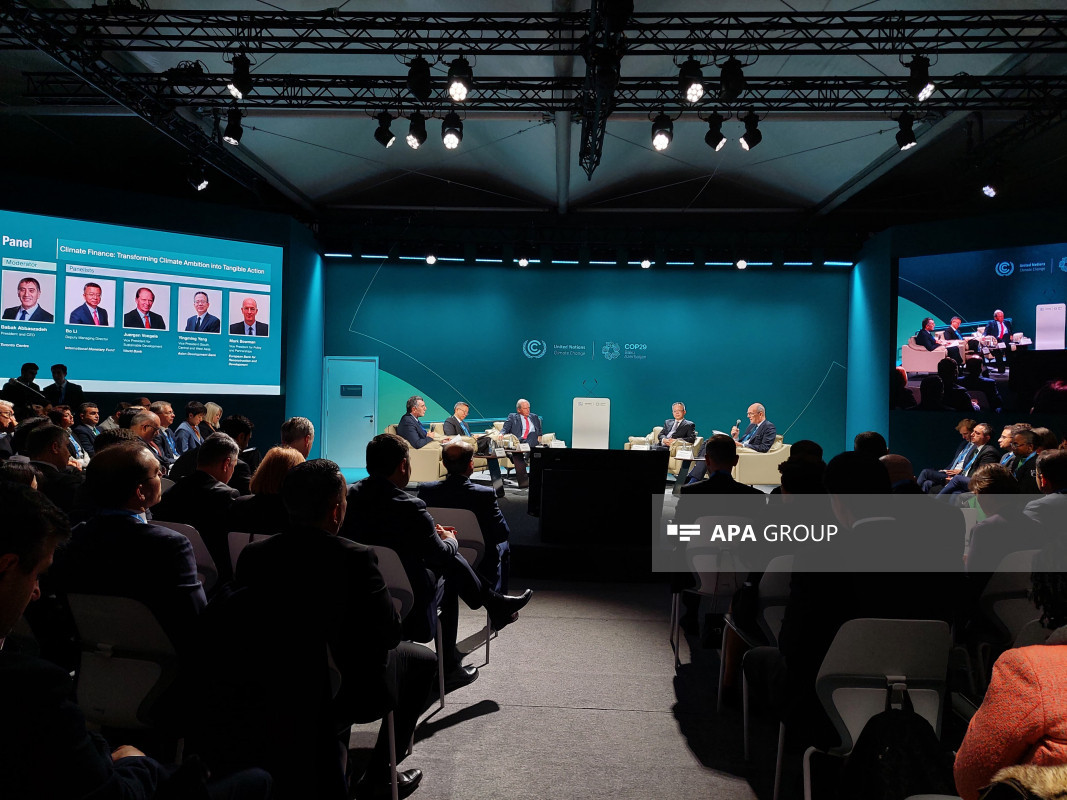 COP29-da “Qlobal maliyyə sistemi: İqlim fəaliyyəti üçün maliyyələşdirmənin artırılması" mövzusunda panel keçirilib - FOTO