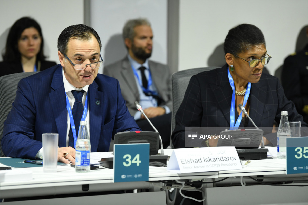 COP29 Sülh, Yardım və Bərpa Gününün açılışı olub - FOTO 