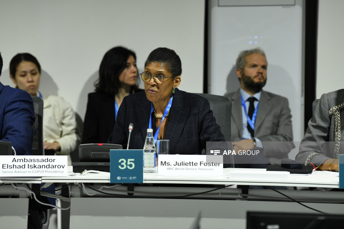 COP29 Sülh, Yardım və Bərpa Gününün açılışı olub - FOTO 