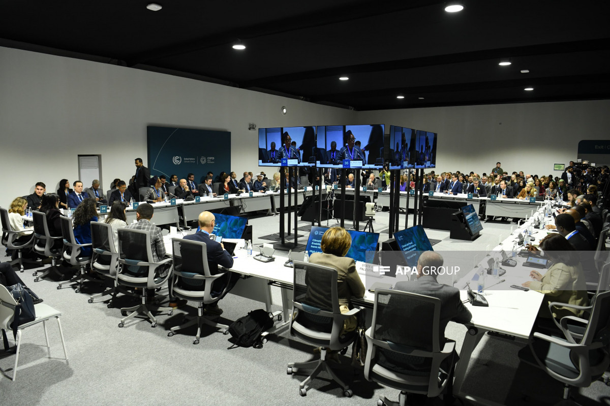 COP29 Sülh, Yardım və Bərpa Gününün açılışı olub - FOTO 