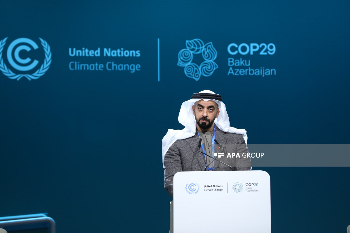 COP29-da