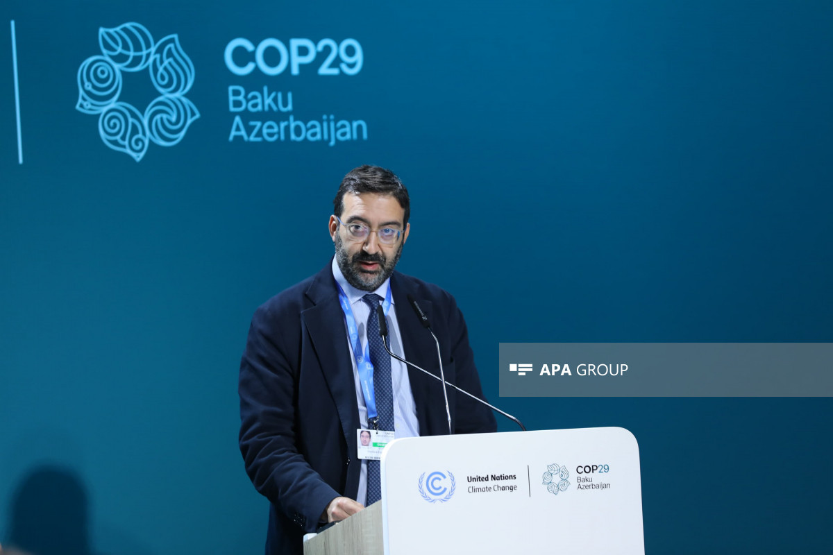 COP29-da