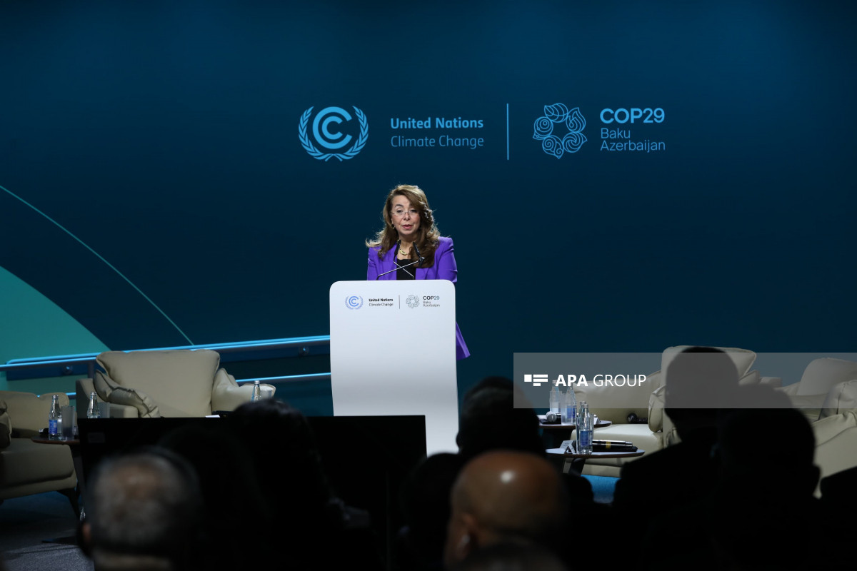 COP29-da