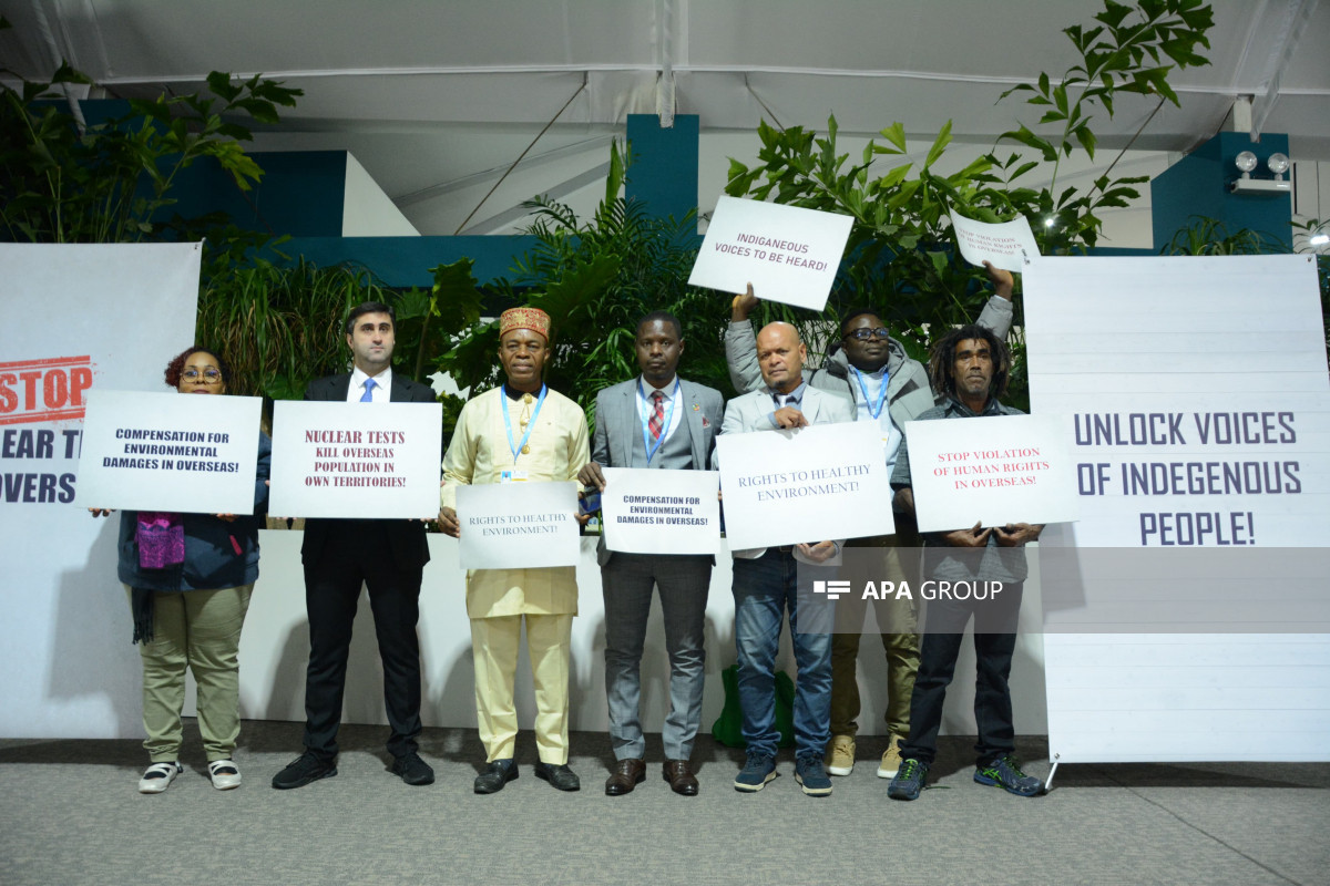 COP29-da