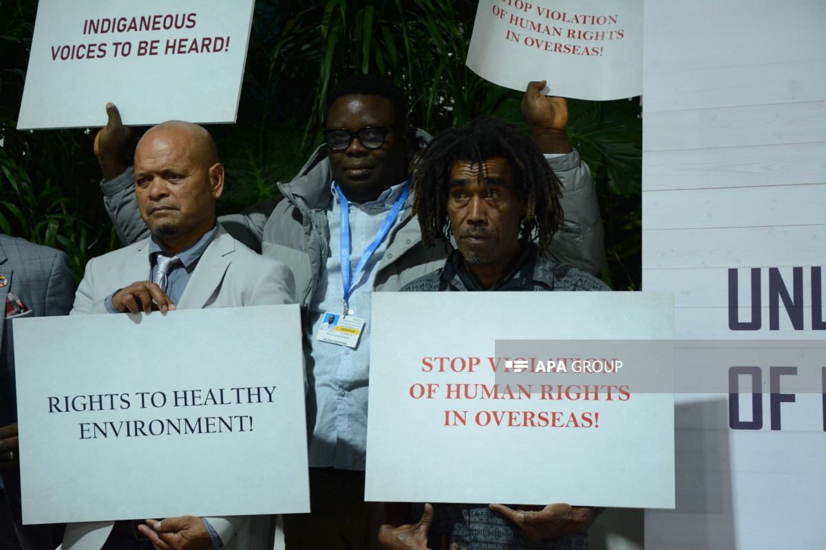 COP29-da