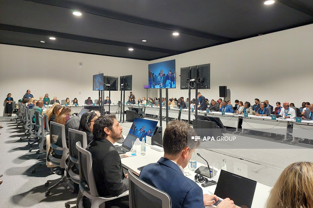 COP29-da uşaqlar üçün iqlim fəaliyyətində investisiya adlı tədbir keçirilib - FOTO 