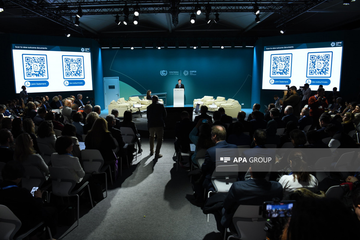 COP29 çərçivəsində İqlim Dayanıqlı Gələcək üçün İnsan İnkişafına İnvestisiya üzrə tədbir keçirilir - FOTO 