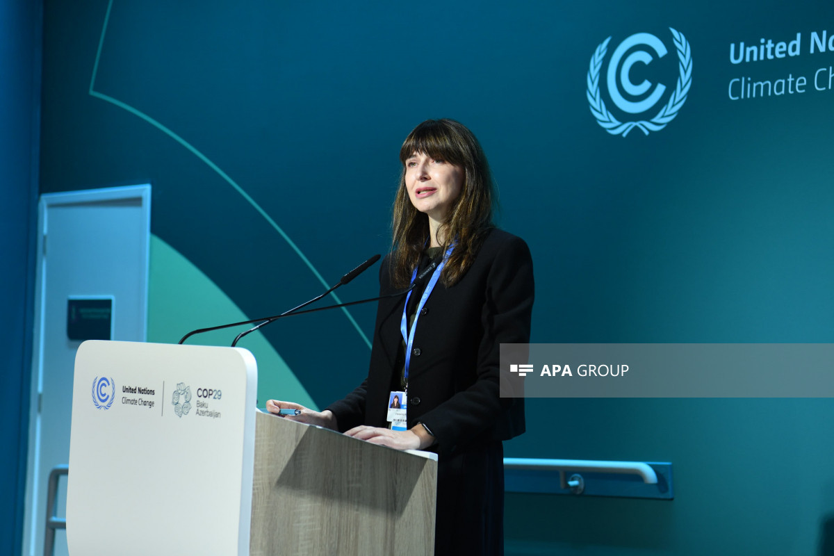 COP29 çərçivəsində İqlim Dayanıqlı Gələcək üçün İnsan İnkişafına İnvestisiya üzrə tədbir keçirilir - FOTO 