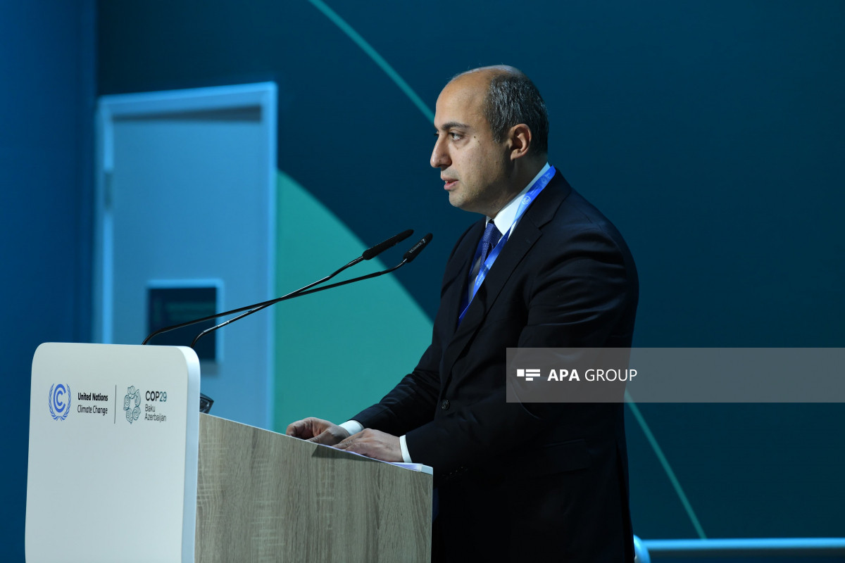 COP29 çərçivəsində İqlim Dayanıqlı Gələcək üçün İnsan İnkişafına İnvestisiya üzrə tədbir keçirilir - FOTO 