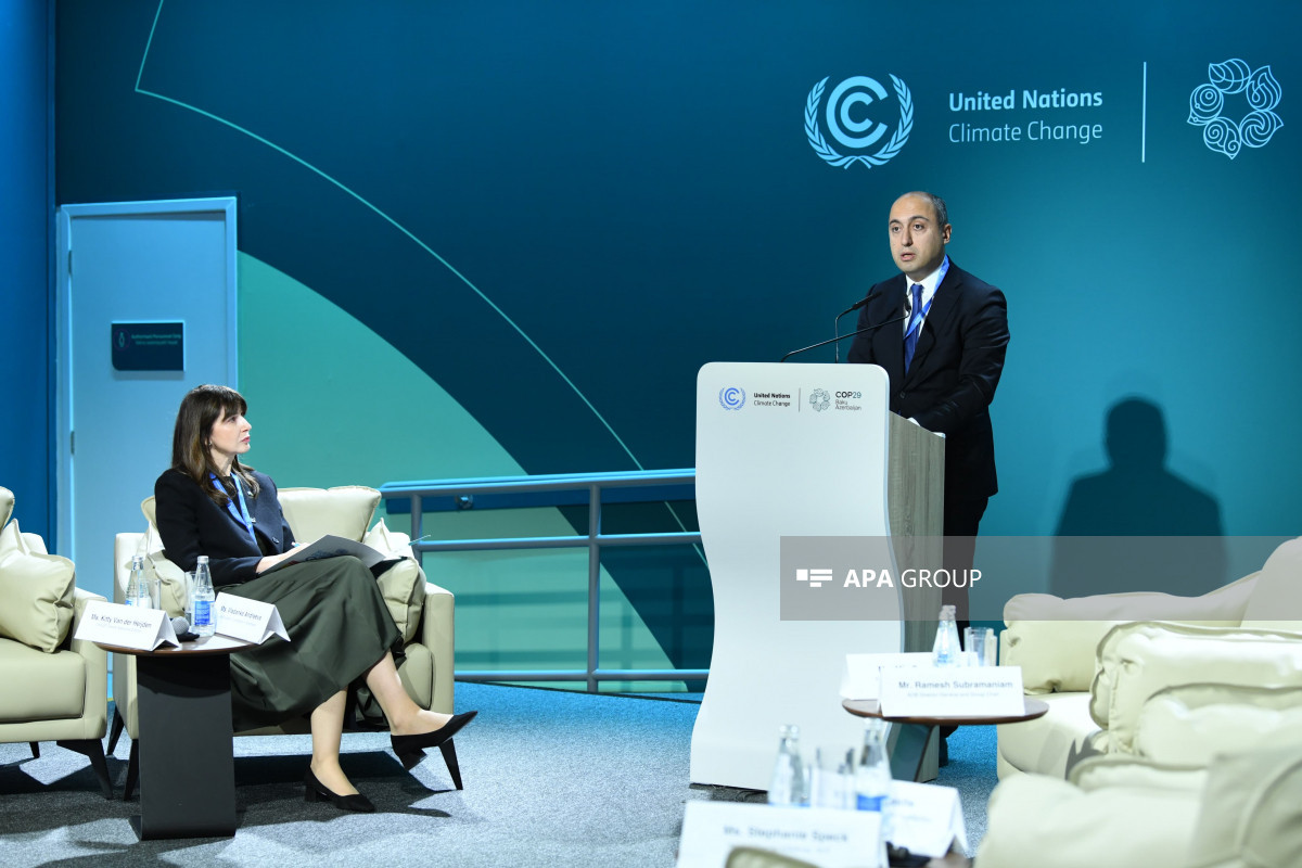 COP29 çərçivəsində İqlim Dayanıqlı Gələcək üçün İnsan İnkişafına İnvestisiya üzrə tədbir keçirilir - FOTO 