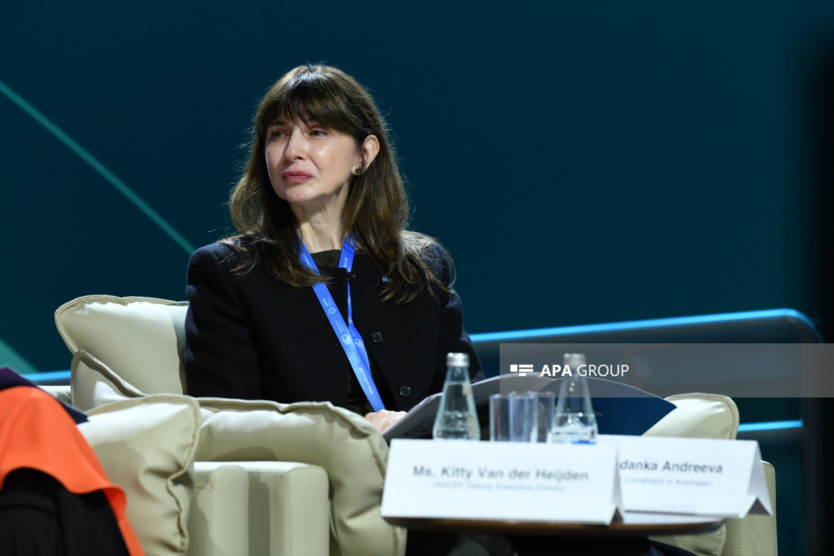 COP29 çərçivəsində İqlim Dayanıqlı Gələcək üçün İnsan İnkişafına İnvestisiya üzrə tədbir keçirilir - FOTO 