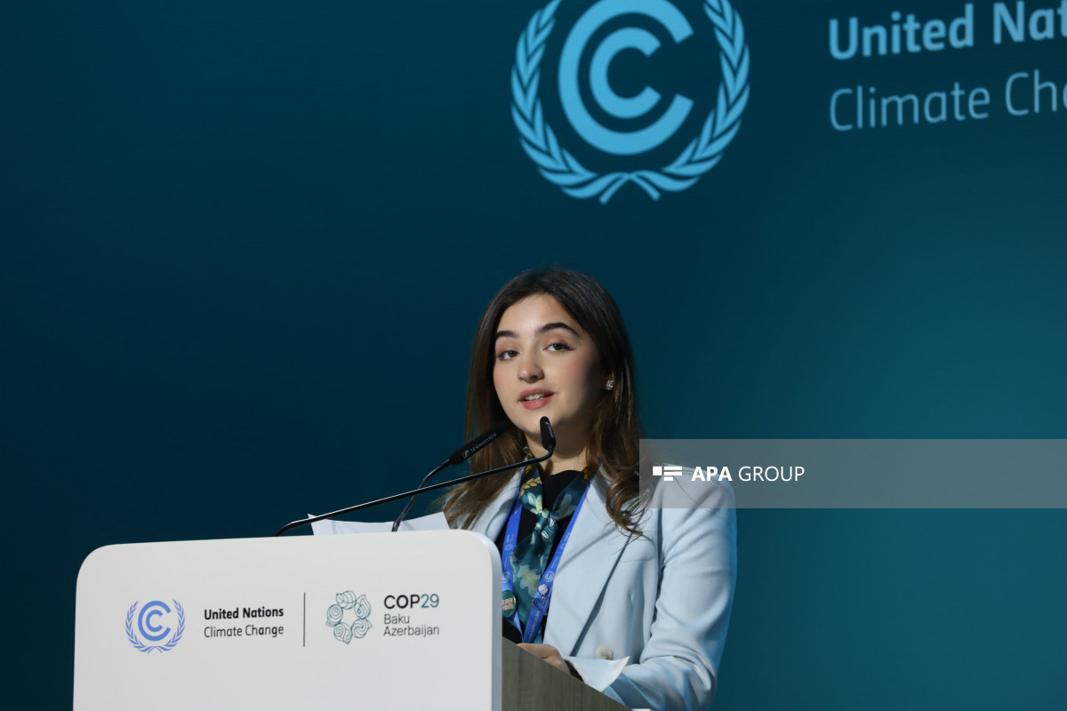 COP29-da