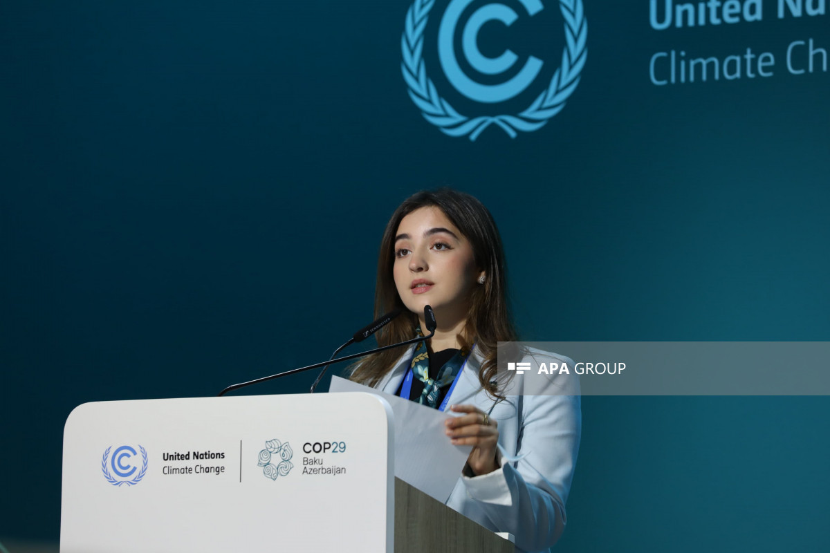 COP29-da