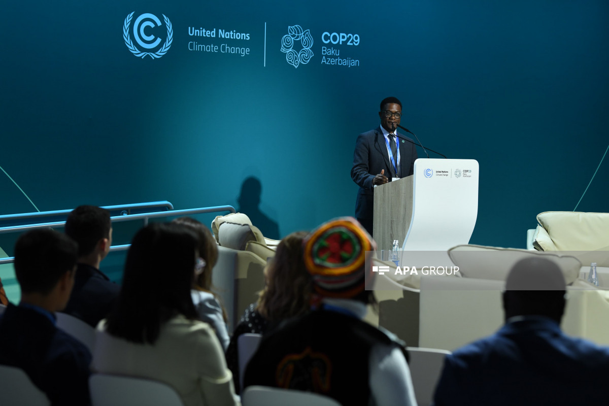 COP29-da