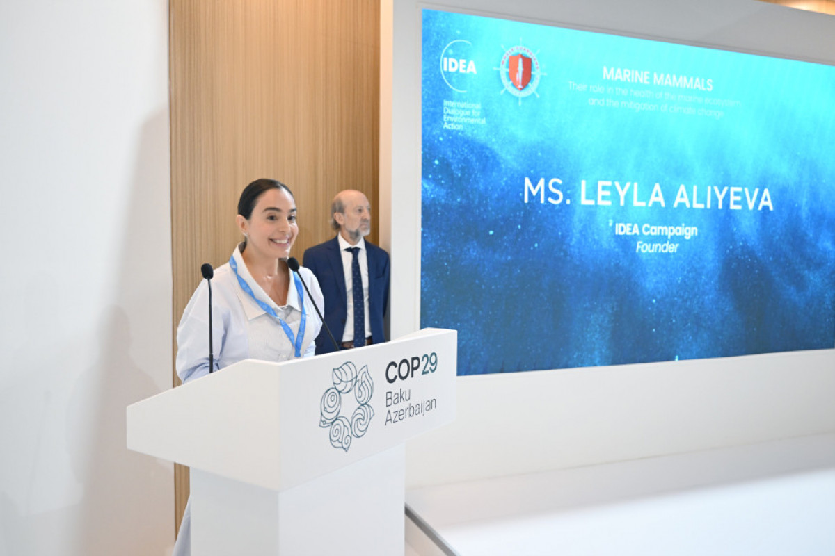 Leyla Əliyeva COP29 çərçivəsində dəniz canlılarına dair panel müzakirələrində iştirak edib