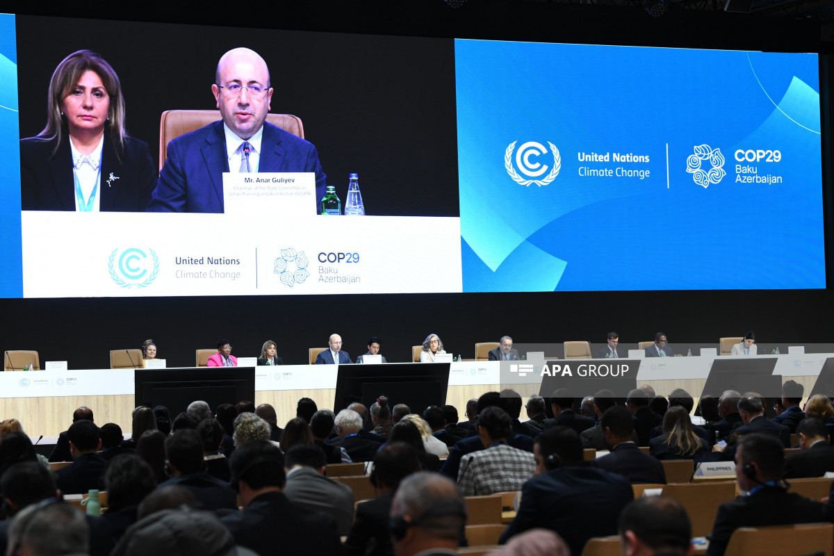 COP29-da