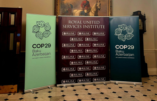 Londonda “COP29: İqlim dəyişikliyi, sülh və təhlükəsizlik” mövzusunda dəyirmi masa keçirilib