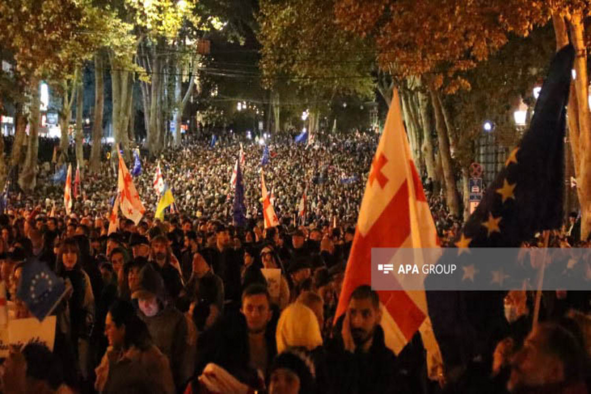 Gürcüstanda "Gürcüstan Avropanı seçir" adlı genişmiqyaslı mitinq keçirilib