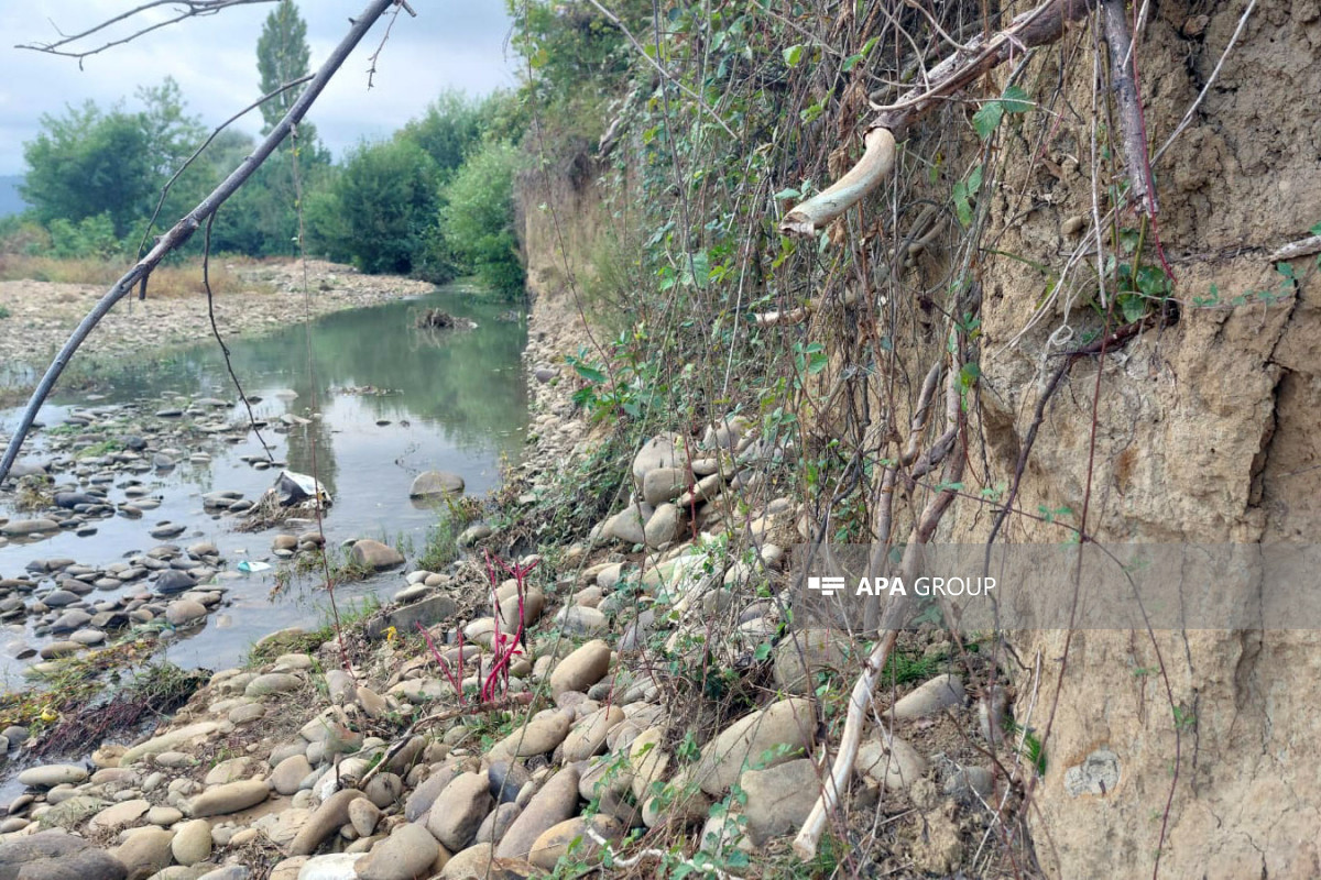 Lənkəranda Veravulçay daşıb, təsərrüfatlara ziyan dəyib - FOTO 