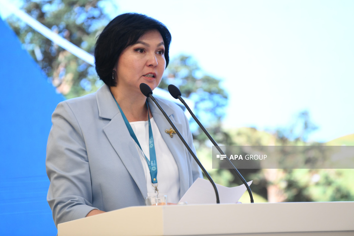 Bakıda COP29 Sədrliyinin təşəbbüsü ilə İqlim Şəffaflığı üzrə Yüksək Səviyyəli Dialoq keçirilib - FOTO 