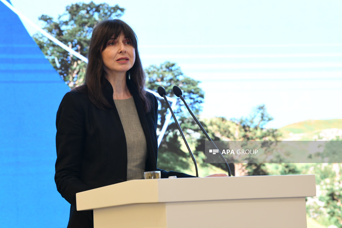 Bakıda COP29 Sədrliyinin təşəbbüsü ilə İqlim Şəffaflığı üzrə Yüksək Səviyyəli Dialoq keçirilib - FOTO 