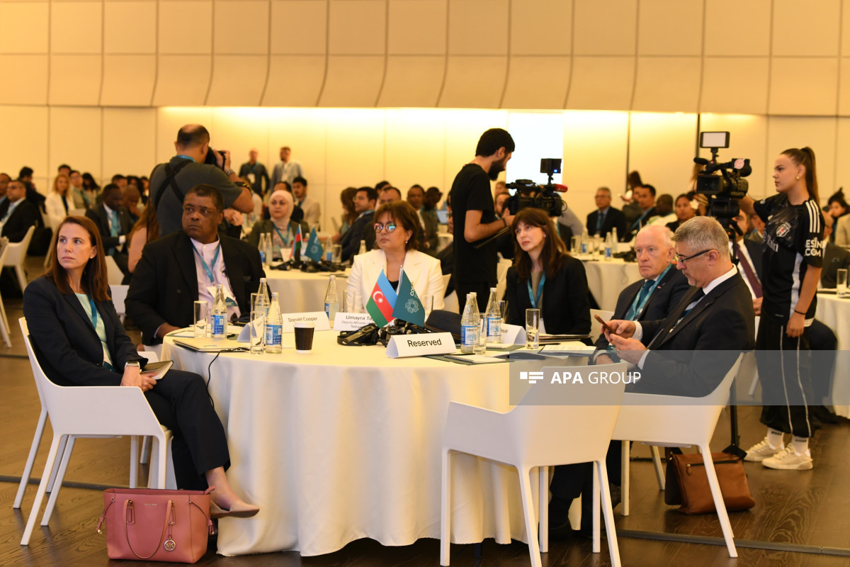 Bakıda COP29 Sədrliyinin təşəbbüsü ilə İqlim Şəffaflığı üzrə Yüksək Səviyyəli Dialoq keçirilib - FOTO 