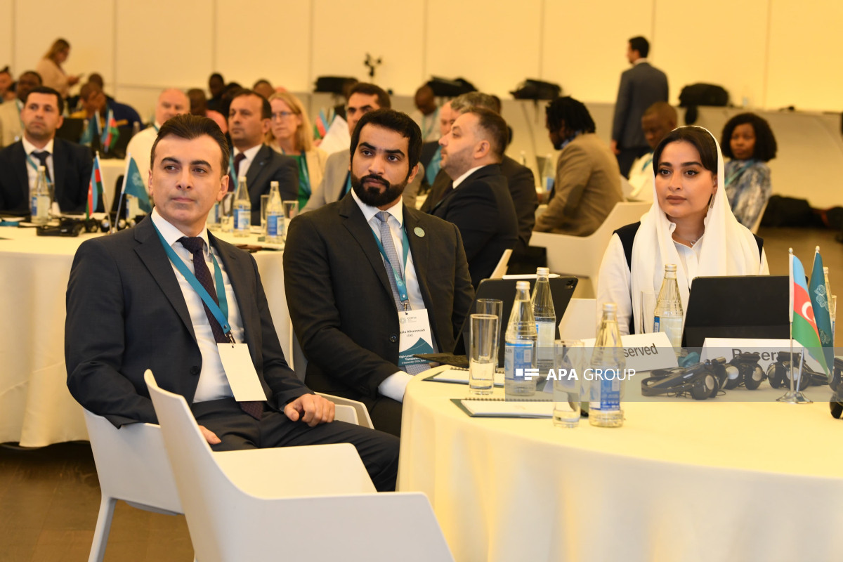 Bakıda COP29 Sədrliyinin təşəbbüsü ilə İqlim Şəffaflığı üzrə Yüksək Səviyyəli Dialoq keçirilib - FOTO 