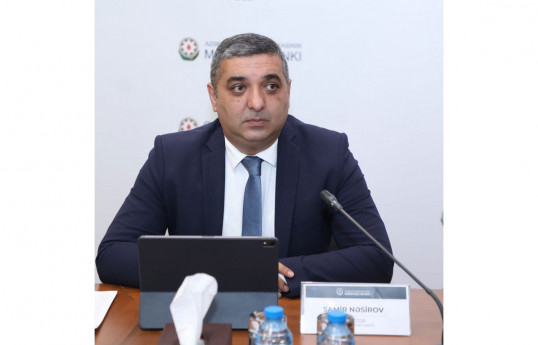 Altı ayda Azərbaycana xaricdən 568 mln. dollar pul baratı daxil olub