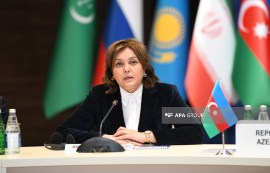 Umayra Tağıyeva: COP-a sədrliyimiz çərçivəsində iqlim maliyyəsi üzrə razılaşma əldə olunmalıdır