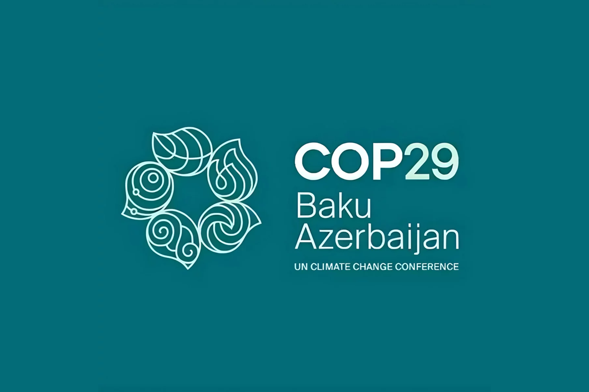 COP29 könüllüləri Xəzər dənizinin Lənkəran sahilində təmizlik aksiyasında iştirak ediblər - VİDEO 