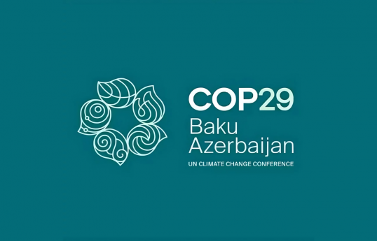 COP29 könüllüləri Xəzər dənizinin Lənkəran sahilində təmizlik aksiyasında iştirak ediblər - VİDEO 